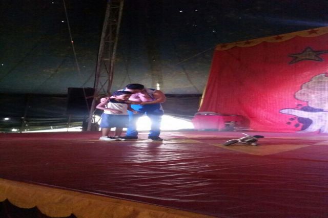 Diversão no CIrco