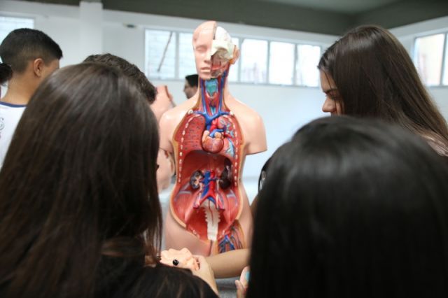 AULA DE BIOLOGIA NO NOVO LABORATÓRIO
