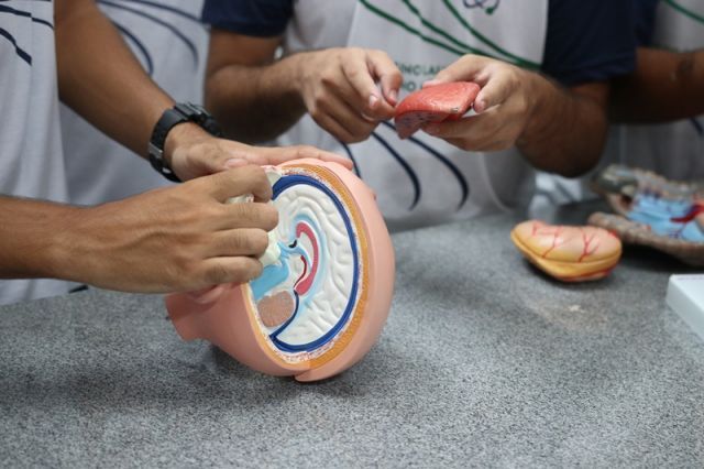 AULA DE BIOLOGIA NO NOVO LABORATÓRIO