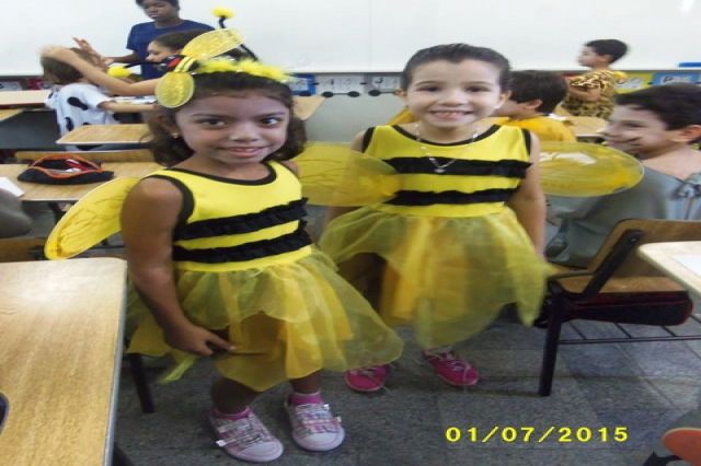 Feira Cultural 2015
