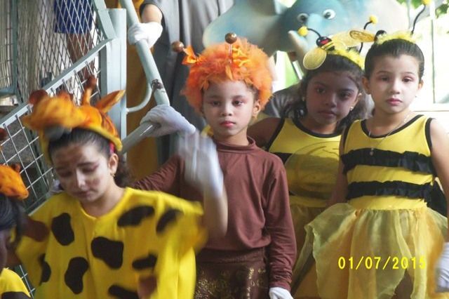 Feira Cultural 2015
