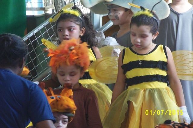 Feira Cultural 2015