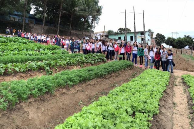 Projeto Agricultura Familiar