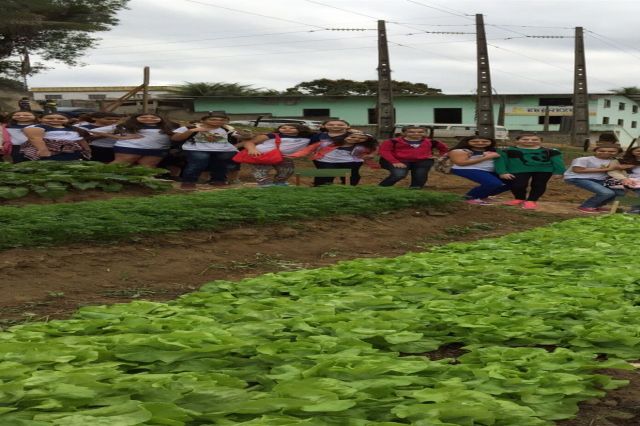 Projeto Agricultura Familiar