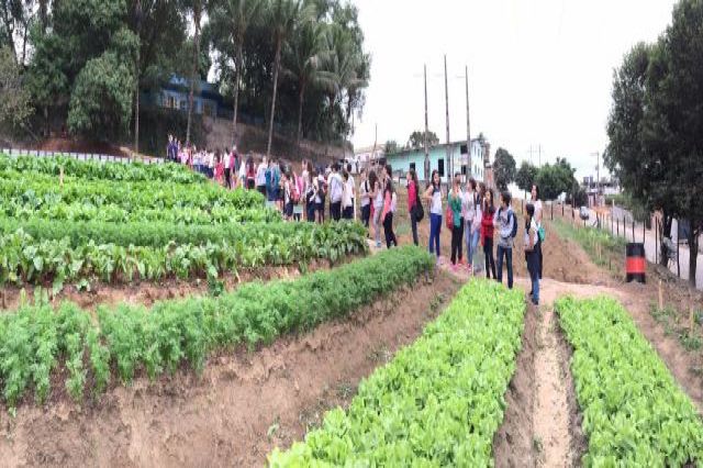 Projeto Agricultura Familiar