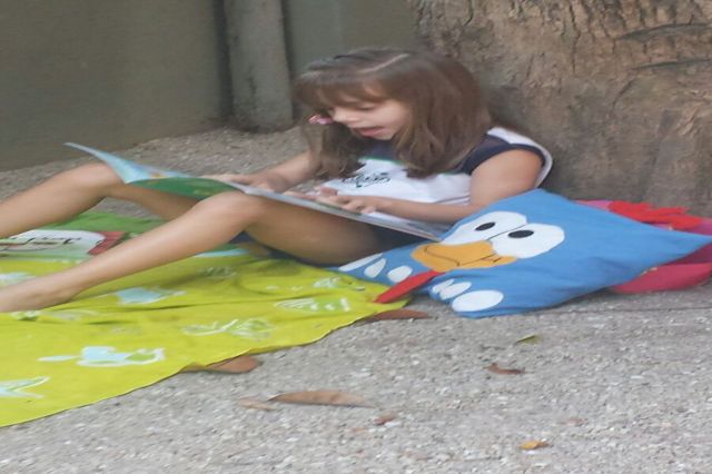 Projeto Literatura 1º ano