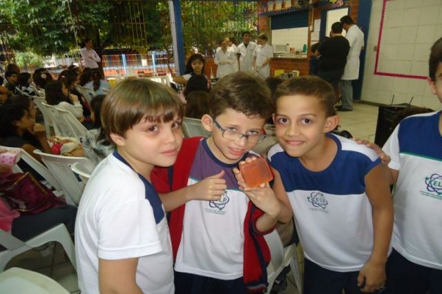 Projeto 2013