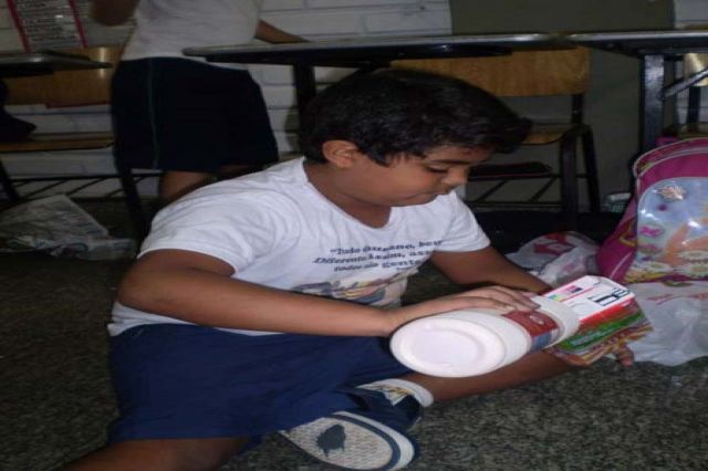Reciclagem da Caixa de Leite